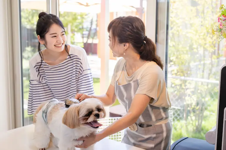 女性ペットシッターが犬を触っている様子